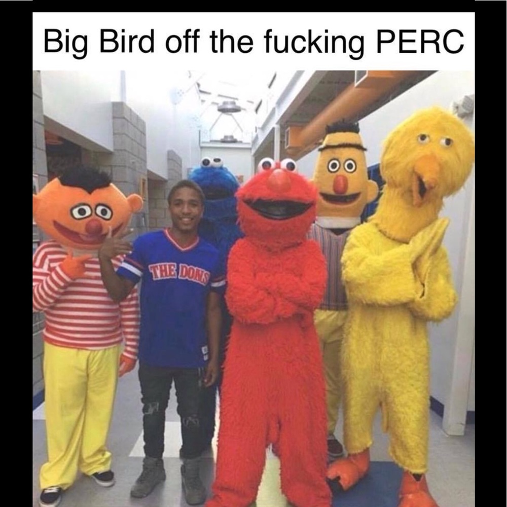 Big Bird been through some stuff